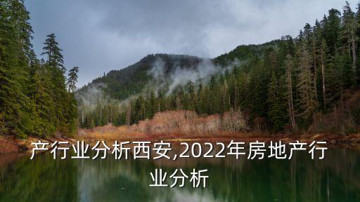 房地产行业分析西安,2022年房地产行业分析