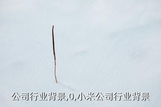 城投公司行业背景,0,小米公司行业背景