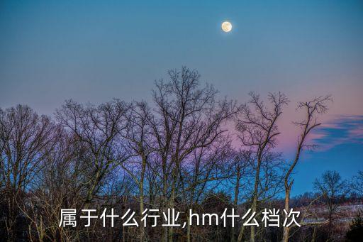 hm属于什么行业,hm什么档次