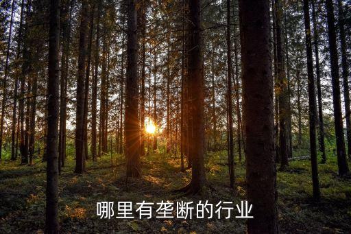 农村哪里有垄断的行业