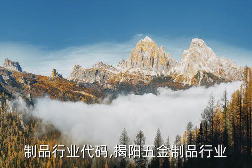 五金制品行业代码,揭阳五金制品行业