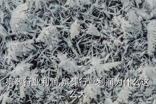 中国殡葬行业利润,殡葬行业利润为什么这么大