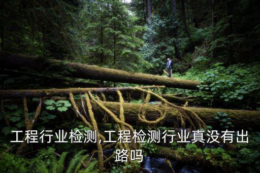 上海工程行业检测,工程检测行业真没有出路吗