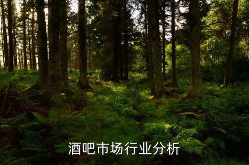 休闲酒吧市场行业分析
