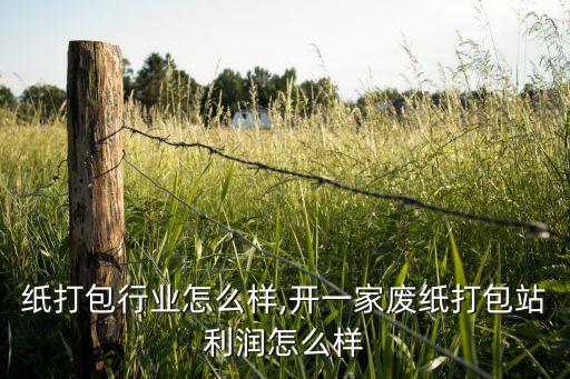做废纸打包行业怎么样,开一家废纸打包站利润怎么样