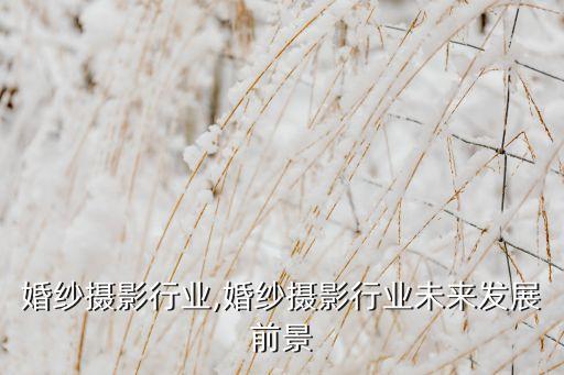 青岛婚纱摄影行业,婚纱摄影行业未来发展前景