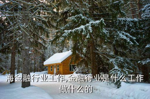 在上海金融行业工作,金融行业是什么工作 做什么的