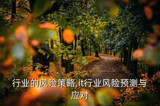 IT行业的风险策略,it行业风险预测与应对