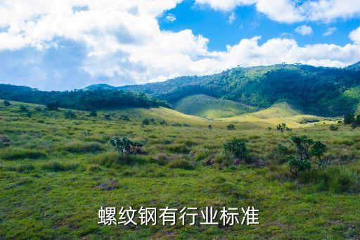 精轧螺纹钢有行业标准