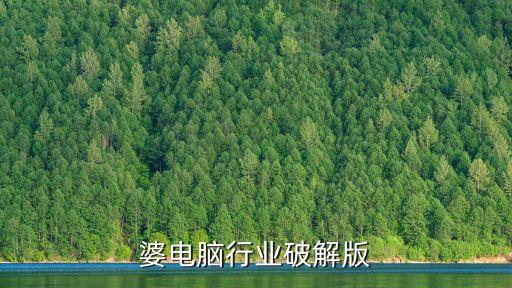 管家婆电脑行业破解版