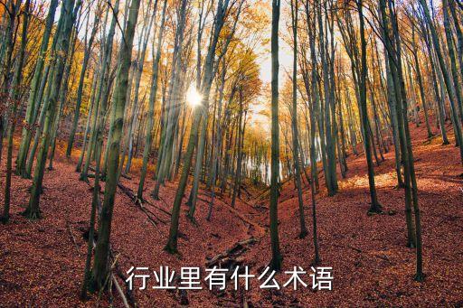 翡翠行业里有什么术语