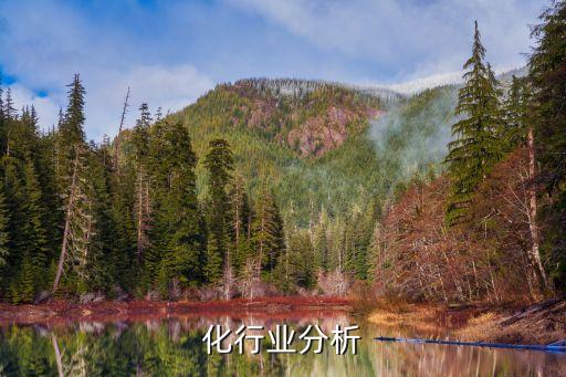 中石化行业分析