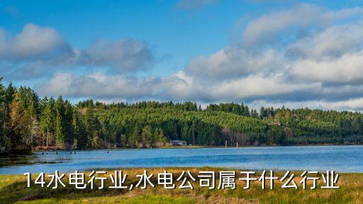 2014水电行业,水电公司属于什么行业