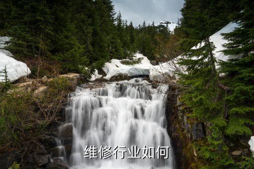 监控维修行业如何