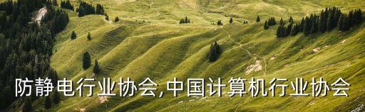 中国防静电行业协会,中国计算机行业协会