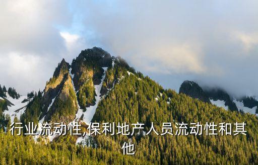 地产行业流动性,保利地产人员流动性和其他