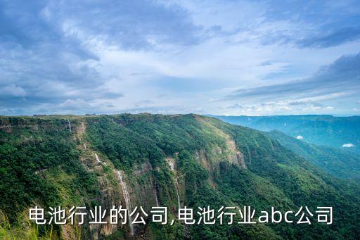 北京电池行业的公司,电池行业abc公司