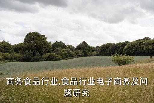电子商务食品行业,食品行业电子商务及问题研究