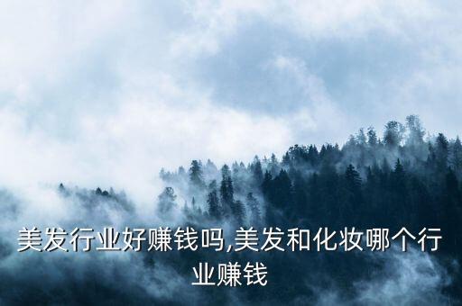 深圳美发行业好赚钱吗,美发和化妆哪个行业赚钱