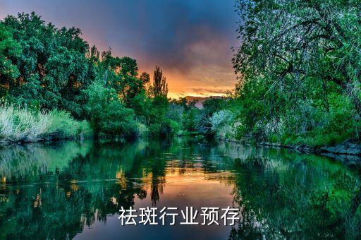 美容祛斑行业预存