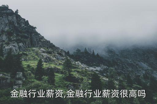 上海金融行业薪资,金融行业薪资很高吗?