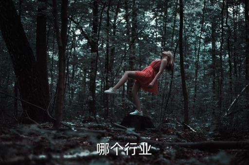 烟台哪个行业