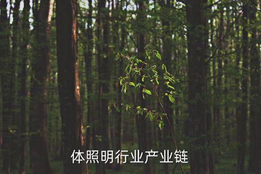 半导体照明行业产业链
