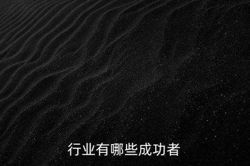 今天行业有哪些成功者