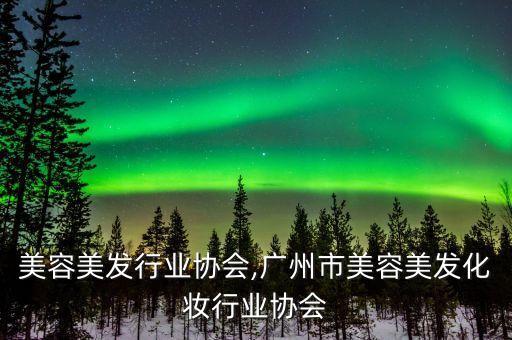 济南美容美发行业协会,广州市美容美发化妆行业协会