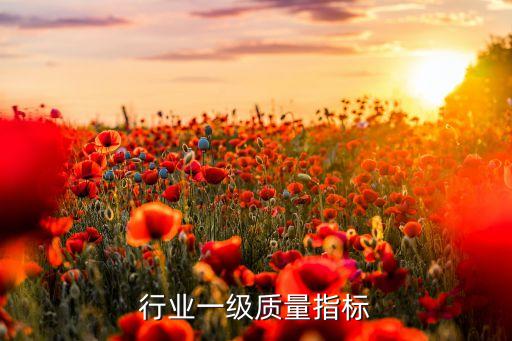 汽车行业一级质量指标