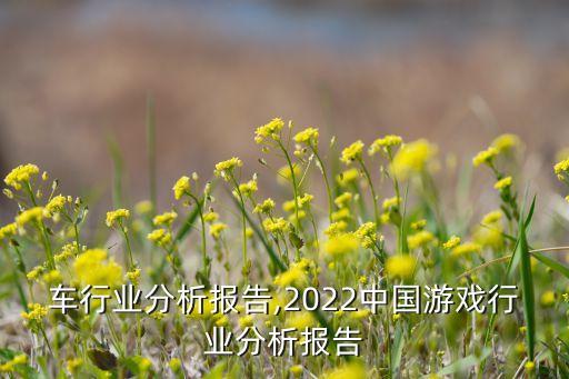 出租车行业分析报告,2022中国游戏行业分析报告