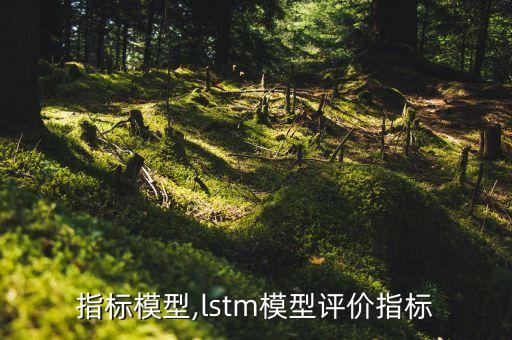 行业指标模型,lstm模型评价指标
