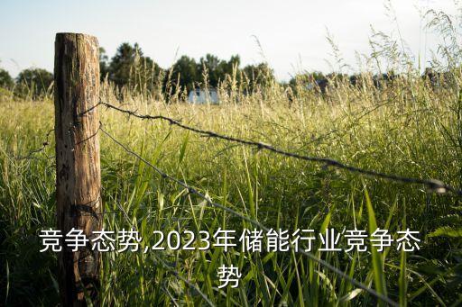 行业竞争态势,2023年储能行业竞争态势