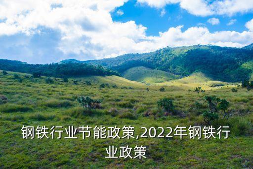 中国钢铁行业节能政策,2022年钢铁行业政策