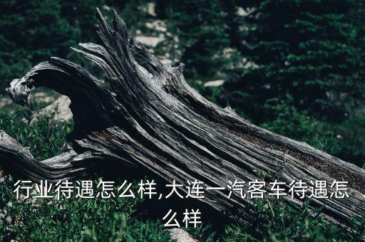 客车行业待遇怎么样,大连一汽客车待遇怎么样