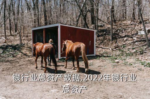 全球银行业总资产数据,2022年银行业总资产
