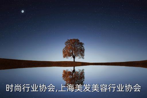 上海时尚行业协会,上海美发美容行业协会