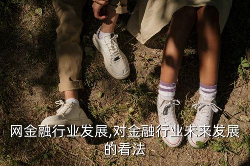 怎么网金融行业发展,对金融行业未来发展的看法