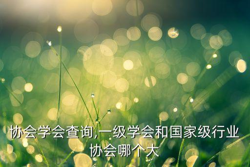 行业协会学会查询,一级学会和国家级行业协会哪个大