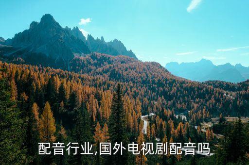 国外配音行业,国外电视剧配音吗