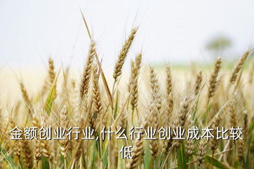 好低金额创业行业,什么行业创业成本比较低