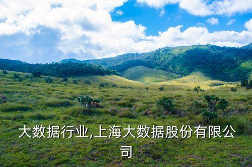 上海 大数据行业,上海大数据股份有限公司