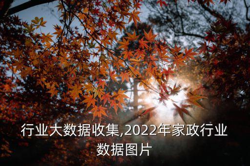 家政行业大数据收集,2022年家政行业数据图片