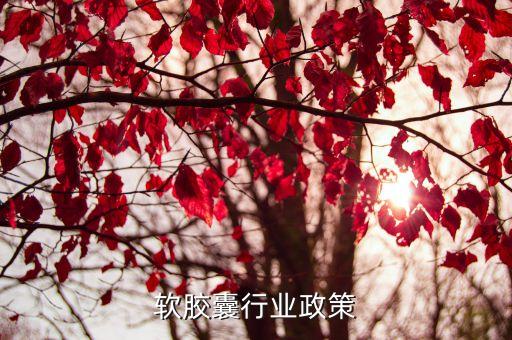 鱼油软胶囊行业政策