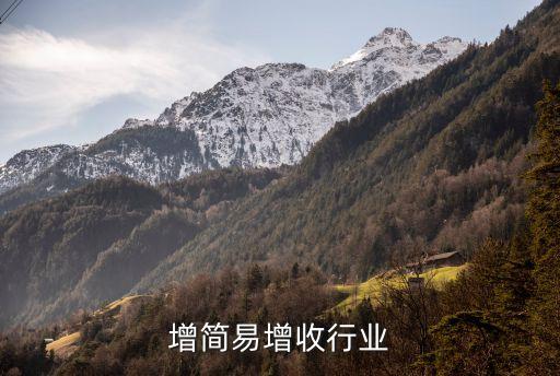 营改增简易增收行业