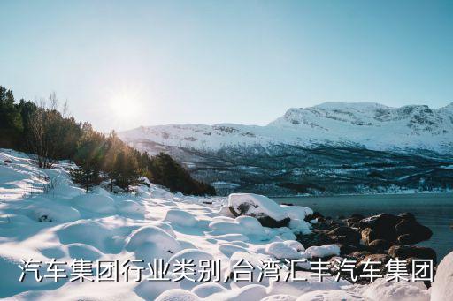 汇丰汽车集团行业类别,台湾汇丰汽车集团