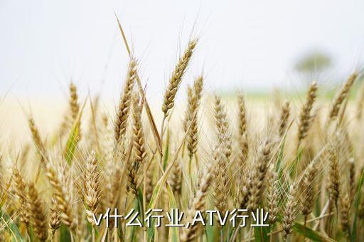 atv什么行业,ATV行业