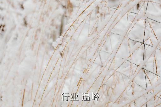 机械行业 温岭