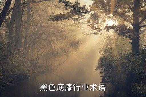 外墙黑色底漆行业术语