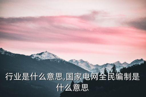 电网行业是什么意思,国家电网全民编制是什么意思